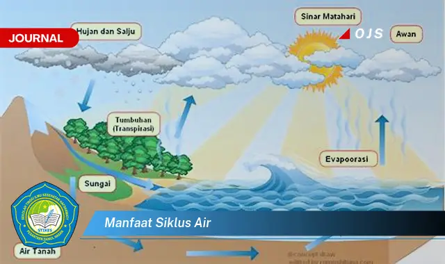 manfaat siklus air