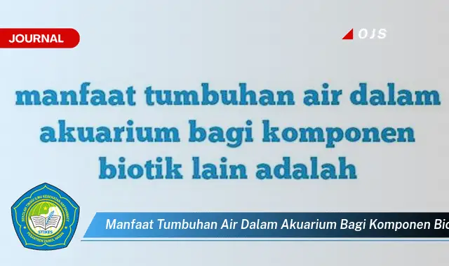 manfaat tumbuhan air dalam akuarium bagi komponen biotik lain adalah