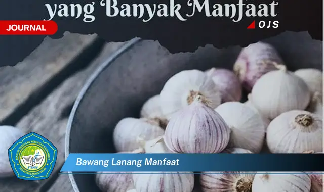 bawang lanang manfaat