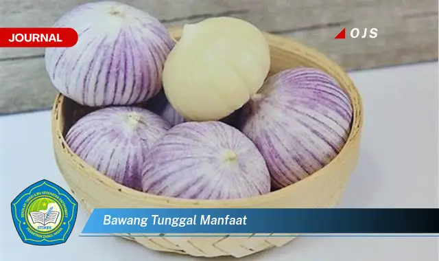 bawang tunggal manfaat