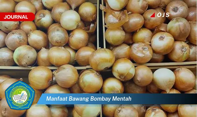 manfaat bawang bombay mentah manfaat bawang bombay mentah