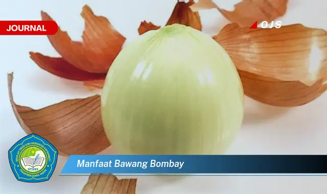 manfaat bawang bombay