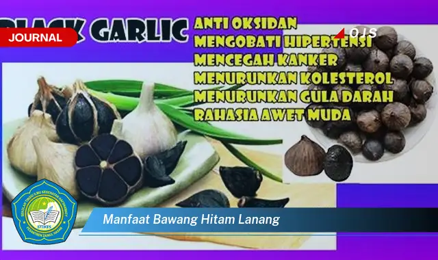 manfaat bawang hitam lanang