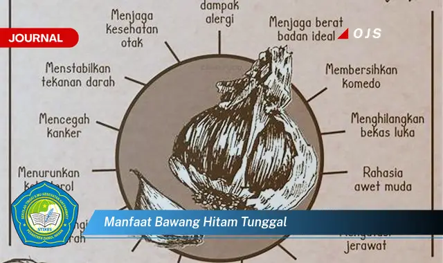 manfaat bawang hitam tunggal