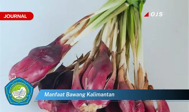 manfaat bawang kalimantan