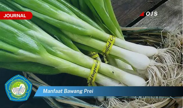 manfaat bawang prei