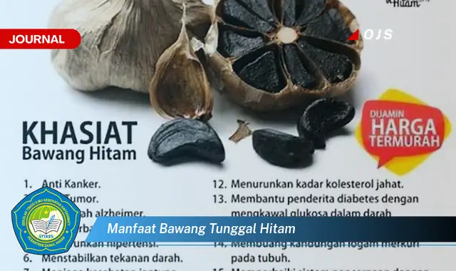 manfaat bawang tunggal hitam manfaat bawang tunggal hitam