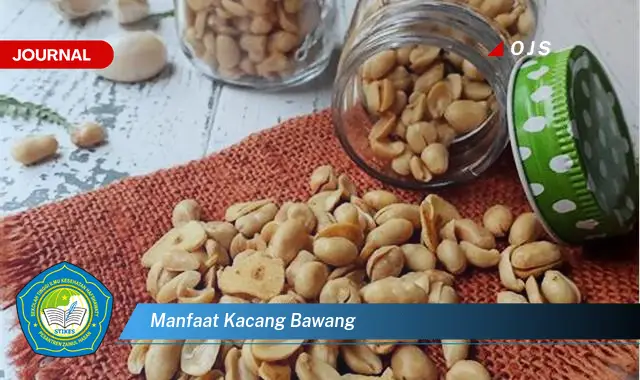 manfaat kacang bawang manfaat kacang bawang