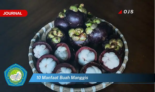 10 manfaat buah manggis