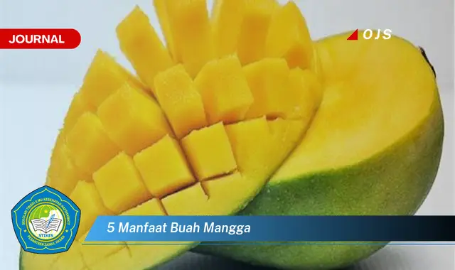 5 manfaat buah mangga