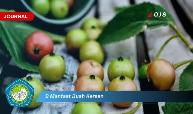 9 manfaat buah kersen