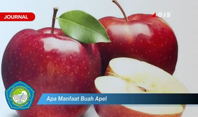 apa manfaat buah apel