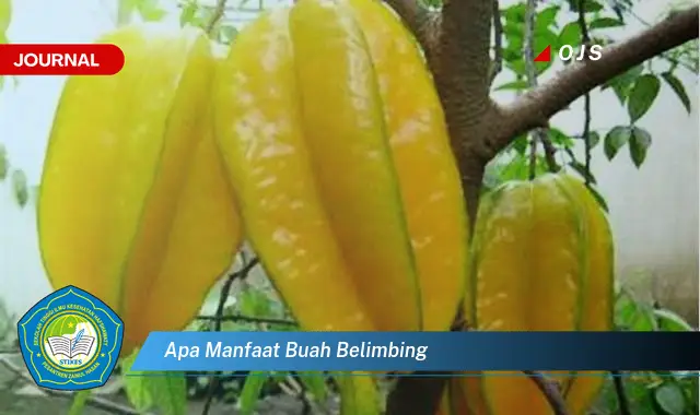 apa manfaat buah belimbing