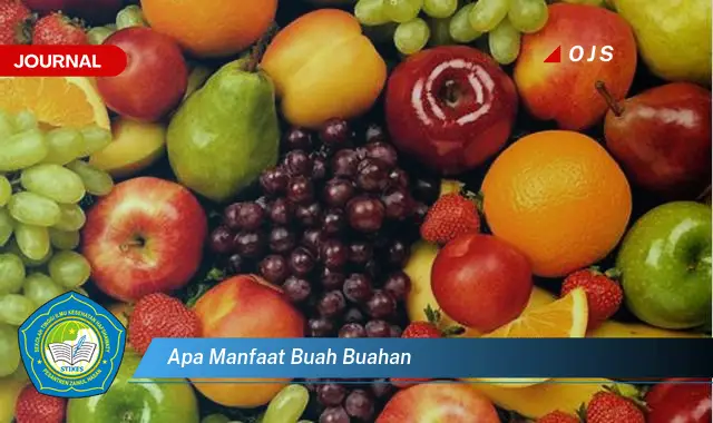 apa manfaat buah buahan