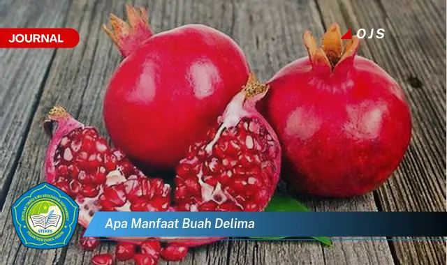 apa manfaat buah delima