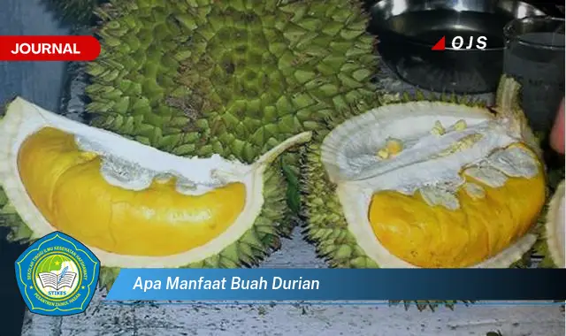 apa manfaat buah durian