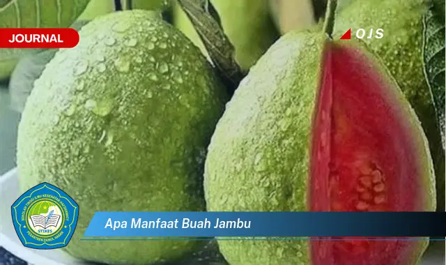 apa manfaat buah jambu