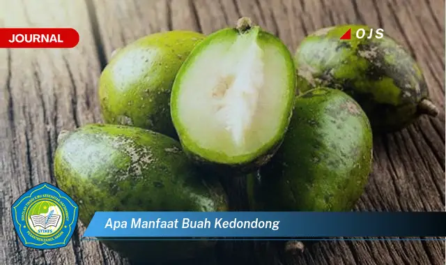 apa manfaat buah kedondong