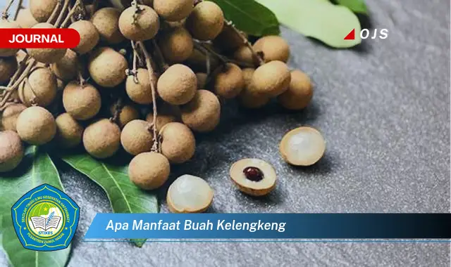 apa manfaat buah kelengkeng