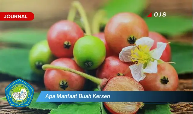 apa manfaat buah kersen