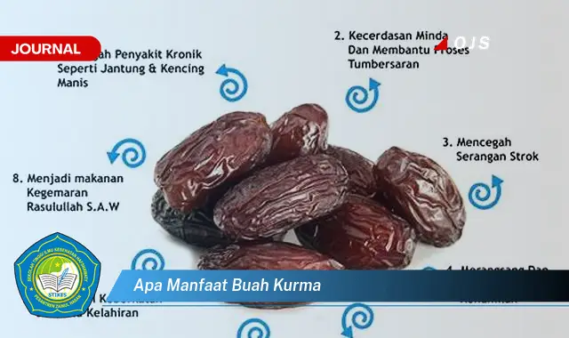 apa manfaat buah kurma