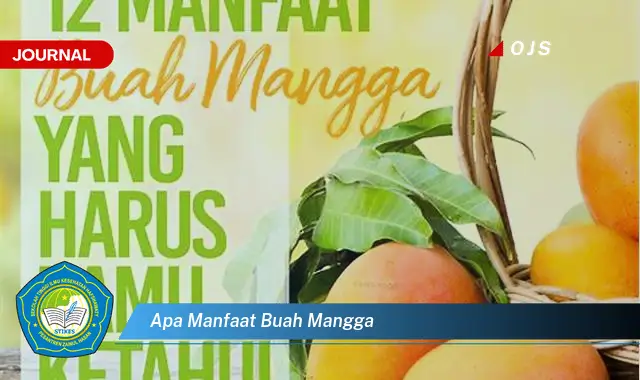 apa manfaat buah mangga