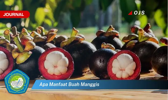 apa manfaat buah manggis