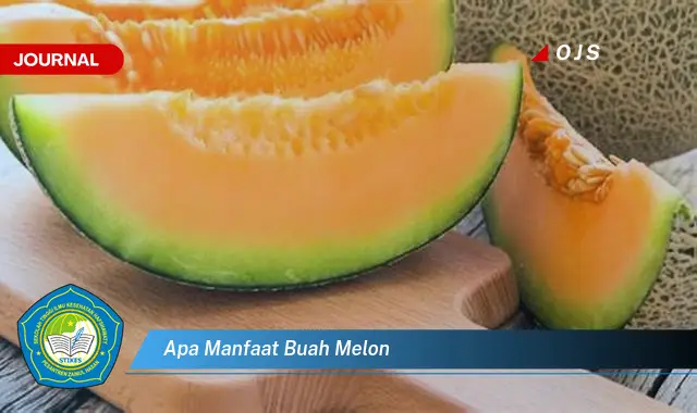 apa manfaat buah melon