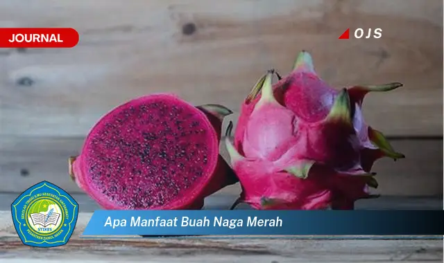 apa manfaat buah naga merah