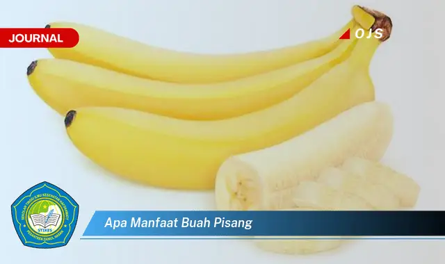 apa manfaat buah pisang