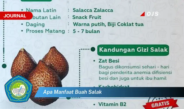apa manfaat buah salak apa manfaat buah salak