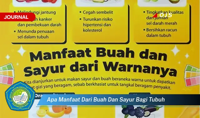 apa manfaat dari buah dan sayur bagi tubuh