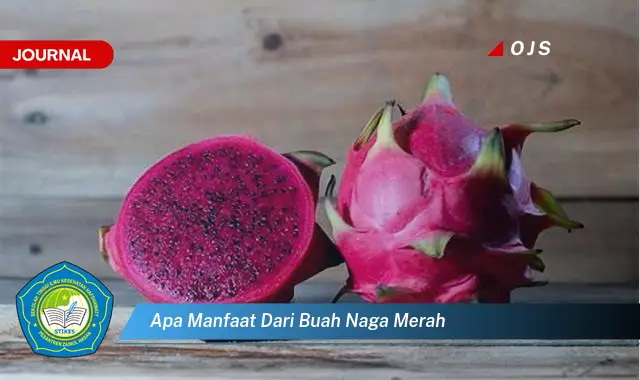 apa manfaat dari buah naga merah