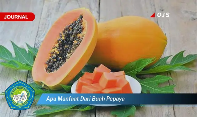 apa manfaat dari buah pepaya