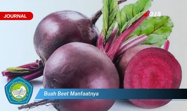 buah beet manfaatnya