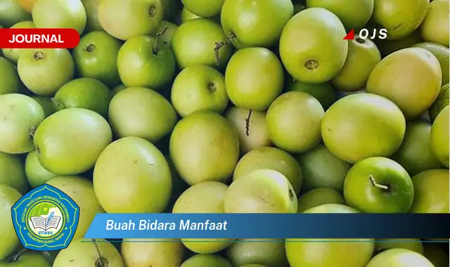 Ketahui 6 Manfaat Buah Bidara yang Jarang Diketahui - E-Journal