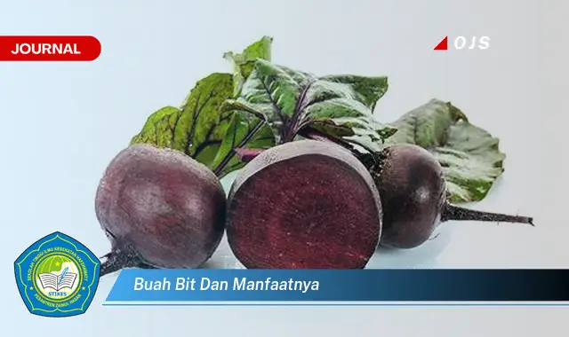 buah bit dan manfaatnya