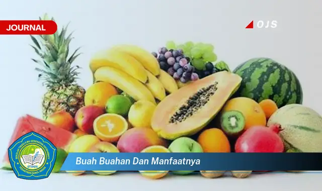 buah buahan dan manfaatnya