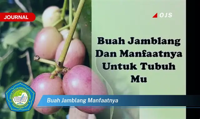 buah jamblang manfaatnya