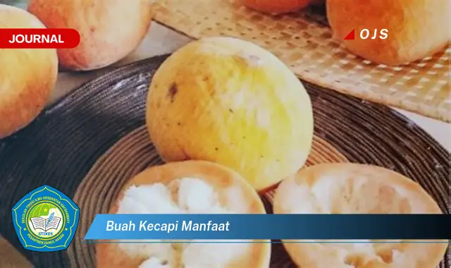 buah kecapi manfaat