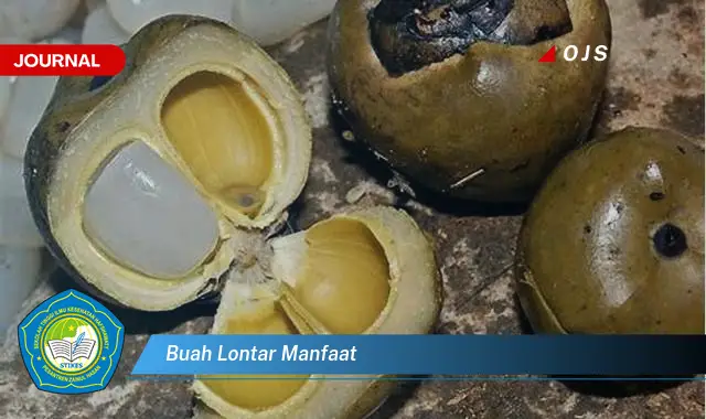 buah lontar manfaat