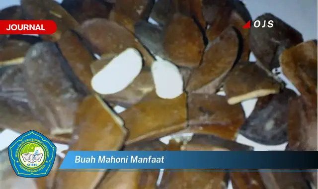 buah mahoni manfaat