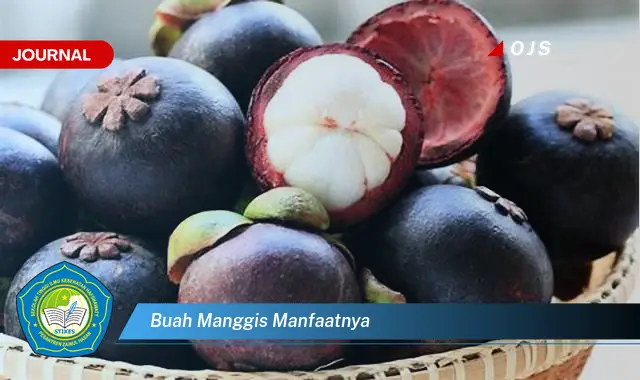 Ketahui 6 Manfaat Buah Manggis yang Wajib Kamu Intip - E-Journal