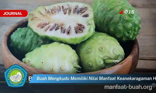 buah mengkudu memiliki nilai manfaat keanekaragaman hayati berupa sumber