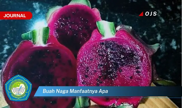 buah naga manfaatnya apa