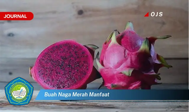 Intip 6 Manfaat Buah Naga Merah yang Bikin Kamu Penasaran - E-Journal