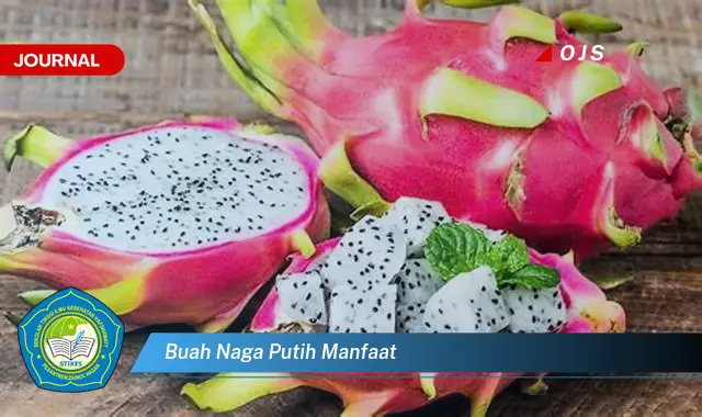 buah naga putih manfaat