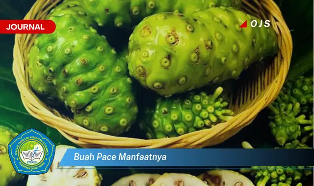buah pace manfaatnya