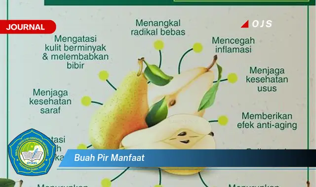 buah pir manfaat