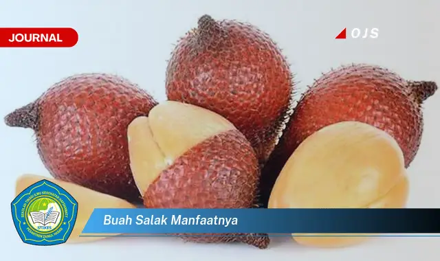 buah salak manfaatnya